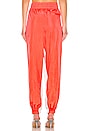 view 3 of 4 Washed Nylon Pants in Bright Orange
