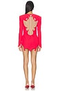 view 4 of 4 Aurora Mini Dress in Red