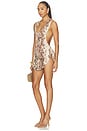 view 1 of 5 VESTIDO ANNA  in Desert Snake