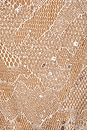 view 6 of 6 Starr Bodysuit in Neutral