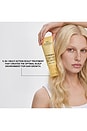 view 6 of 7 TRATAMENTO PARA COURO CABELUDO G0 EXFOLIATING SCALP TREATMENT in 
