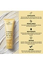 view 7 of 7 TRATAMENTO PARA COURO CABELUDO G0 EXFOLIATING SCALP TREATMENT in 