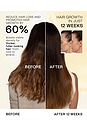 view 8 of 7 The Hair Growth & Gloss Kit in 