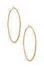 view 1 of 3 Carmella Twisted Hoop Earrings in Gold