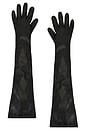 view 1 of 2 Tg Gloves in Black