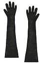 view 2 of 2 Tg Gloves in Black