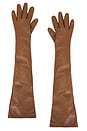 view 1 of 2 Tg Gloves in Brown