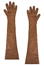 view 2 of 2 Tg Gloves in Brown