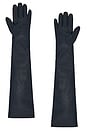 view 2 of 2 TG 글러브 in Navy