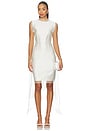 view 1 of 3 Vivaldi Shift Dress in Beige
