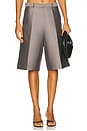 view 1 of 6 Ambra Shorts in Smoke in Grey