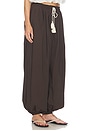 view 2 of 6 Bazaar Pants in Brown