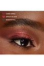 view 6 of 9 APPLEY IN LOVE EYE SHADOW PALETTE アイシャドウパレット in 