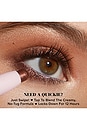 view 6 of 9 Quickie Queen Eye Shadow Stick in Pure Magic