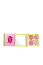 view 3 of 10 Fairytale Crush Blush & Highlighter Palette in 