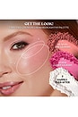 view 7 of 10 Fairytale Crush Blush & Highlighter Palette in 