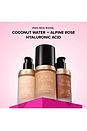 view 5 of 5 Born This Way Foundation in Spiced Rum