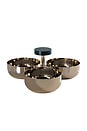 view 1 of 3 Spiga Condiment Set in Gold & Green