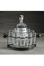 view 4 of 9 Agave Ten Shot Tequila Set With Ice Bucket in 