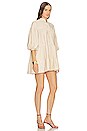 view 2 of 4 Stephie Dress in Tan