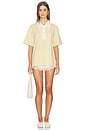 view 4 of 5 Frank Oversized Collar Polo in Yellow & Ivory