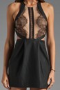 view 5 of 6 Night Cat Dress en Black/Nude in Black & Nude