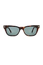 view 1 of 3 선글라스 in Brown
