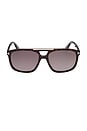 view 1 of 3 Brianna Sunglasses in Brown