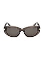 view 1 of 3 Oval Sunglasses in Shiny Transparent Mink & Smoke