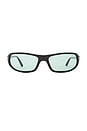 view 1 of 3 Addison Sunglasses in Shiny Black & Green