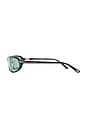 view 3 of 3 Addison Sunglasses in Shiny Black & Green