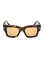 view 1 of 3 Ilias Sunglasses in Shiny Honey, Striped Brown, & Amber