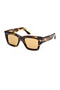 view 2 of 3 Ilias Sunglasses in Shiny Honey, Striped Brown, & Amber