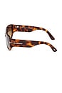 view 3 of 3 Rectangular Sunglasses in Shiny Havana & Smoke