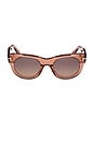view 1 of 3 Round Sunglasses in Shiny Terracotta & Plum