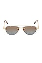view 1 of 3 Pilot Sunglasses in Shiny Yellow Gold & Brown