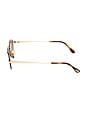 view 3 of 3 Pilot Sunglasses in Shiny Yellow Gold & Brown
