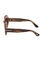 view 3 of 3 GAFAS DE SOL CLAUDETTE in Brown & Red