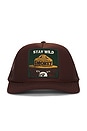 view 1 of 2 Stay Wild Hat in Brown