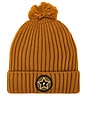 view 1 of 2 Electric Star Beanie in Tan