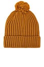 view 2 of 2 Electric Star Beanie in Tan