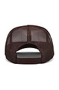 view 2 of 3 Friends in Low Places Trucker Hat in Brown