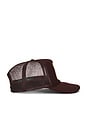 view 3 of 3 Friends in Low Places Trucker Hat in Brown