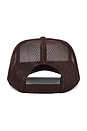 view 2 of 3 Locals Only Script Trucker Hat in Brown