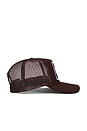 view 3 of 3 Locals Only Script Trucker Hat in Brown