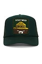view 1 of 2 Stay Wild Hat in Green