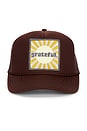 view 1 of 2 Grateful Trucker Hat in Brown