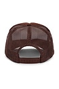 view 2 of 2 Grateful Trucker Hat in Brown