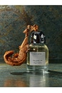 view 4 of 4 TLY 5755 Eau De Parfum 50ml in 
