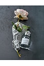 view 5 of 5 By Your Side Eau De Parfum 50ml in 